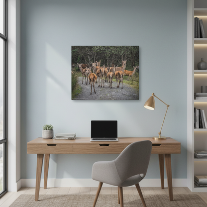 Ardaneaskan Canvas Print – Scottish Wildlife Wall Art by Photographer Fergus King