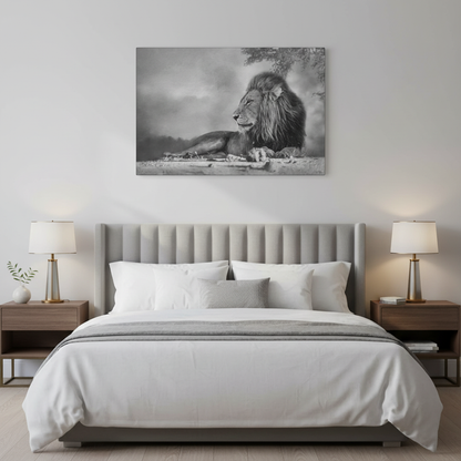 Shaded Monarch – Black and White Resting Lion by Photographer Patsy Weingart