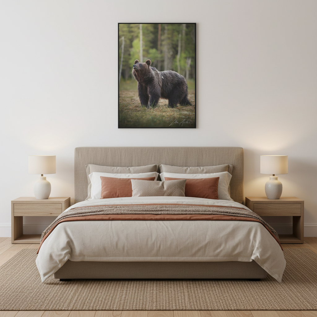 Brown Bear Among the Pines — By Photographer Lukas Andersen