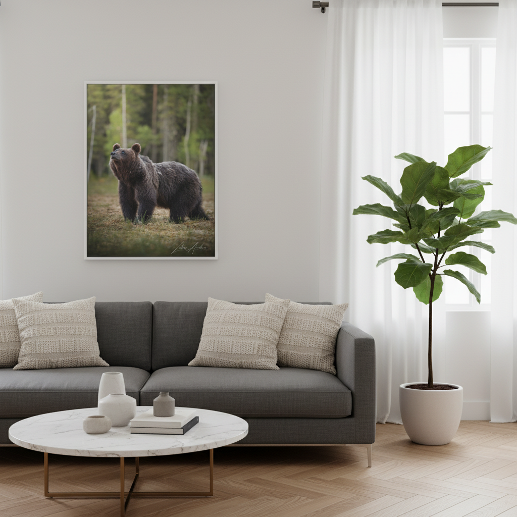 Brown Bear Among the Pines — By Photographer Lukas Andersen