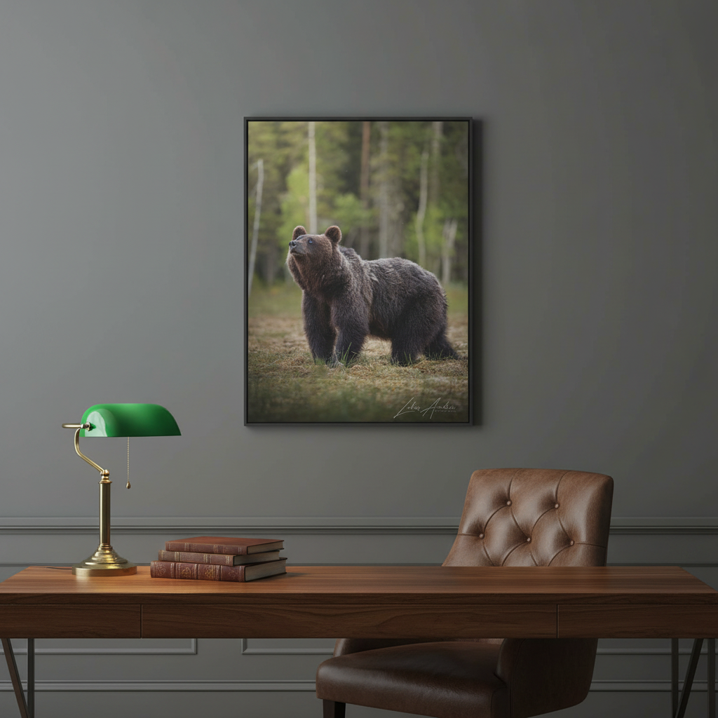 Brown Bear Among the Pines — By Photographer Lukas Andersen