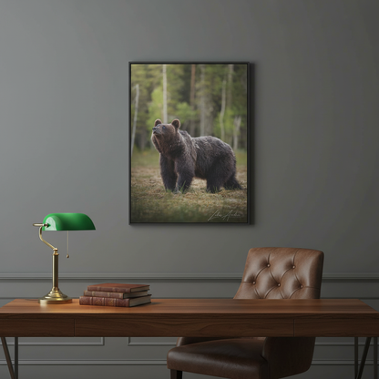 Brown Bear Among the Pines — By Photographer Lukas Andersen