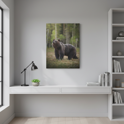 Brown Bear Among the Pines — By Photographer Lukas Andersen