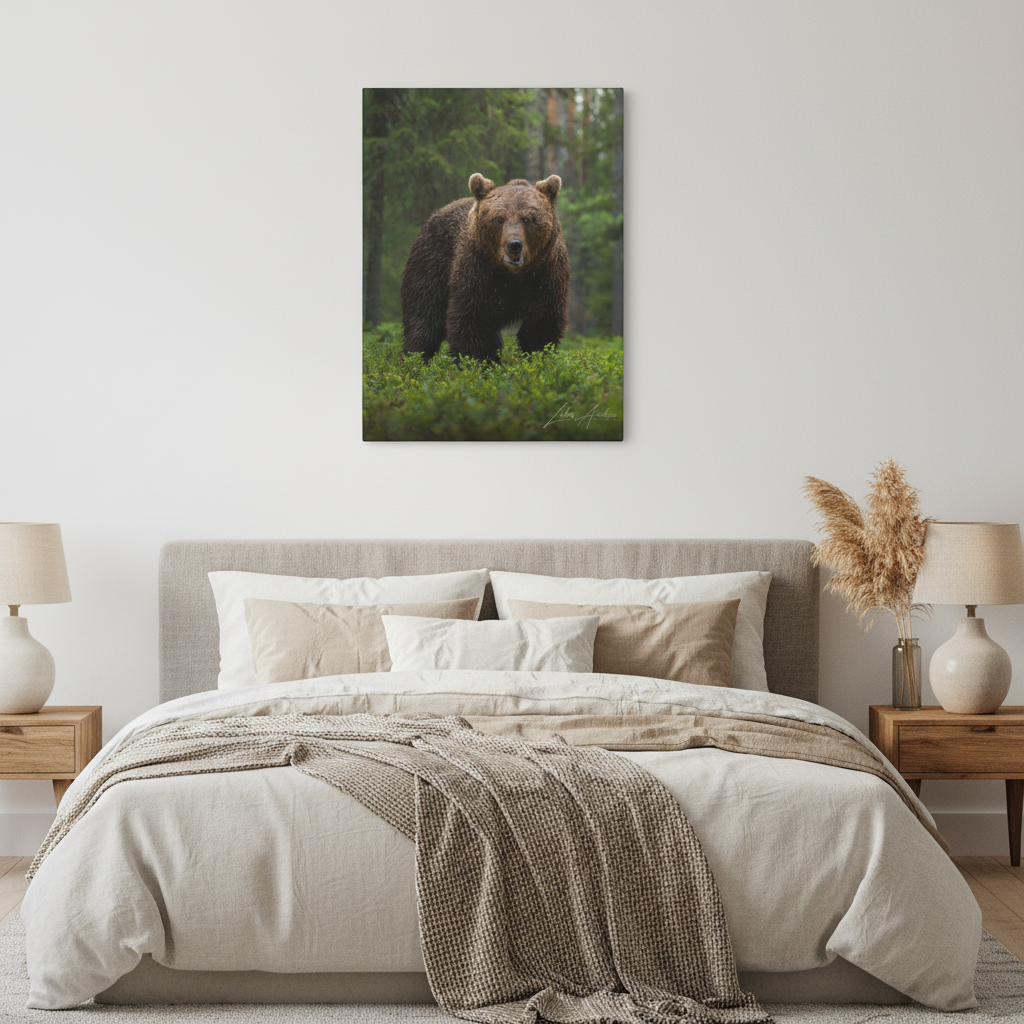 Brown Bear in Forest Light — By Photographer Lukas Andersen