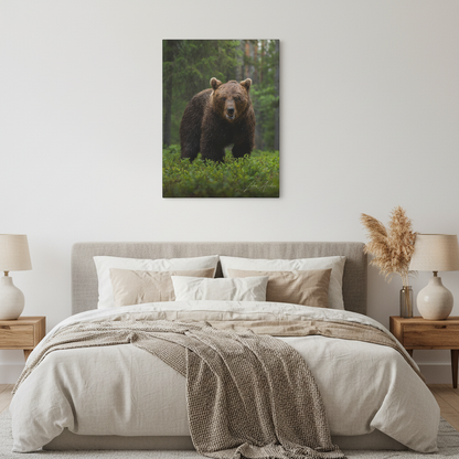 Brown Bear in Forest Light — By Photographer Lukas Andersen