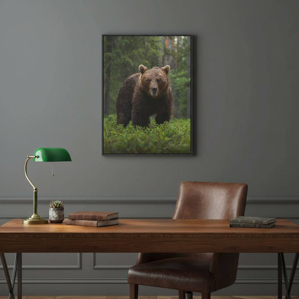 Brown Bear in Forest Light — By Photographer Lukas Andersen