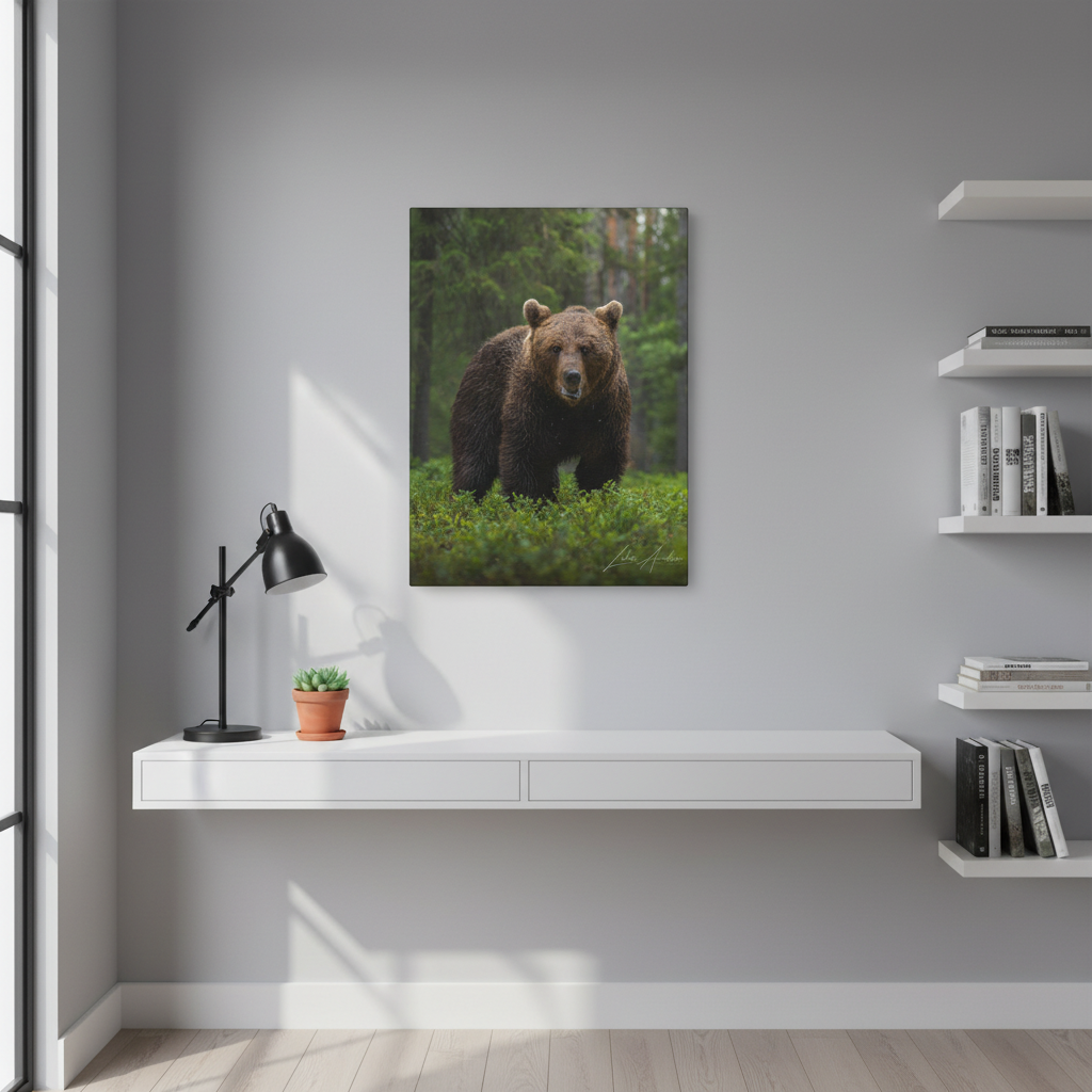 Brown Bear in Forest Light — By Photographer Lukas Andersen