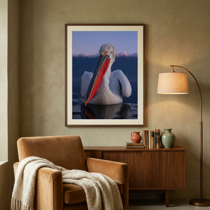 Dalmatian Pelican Fine Art Print | By Photographer Lukas Andersen