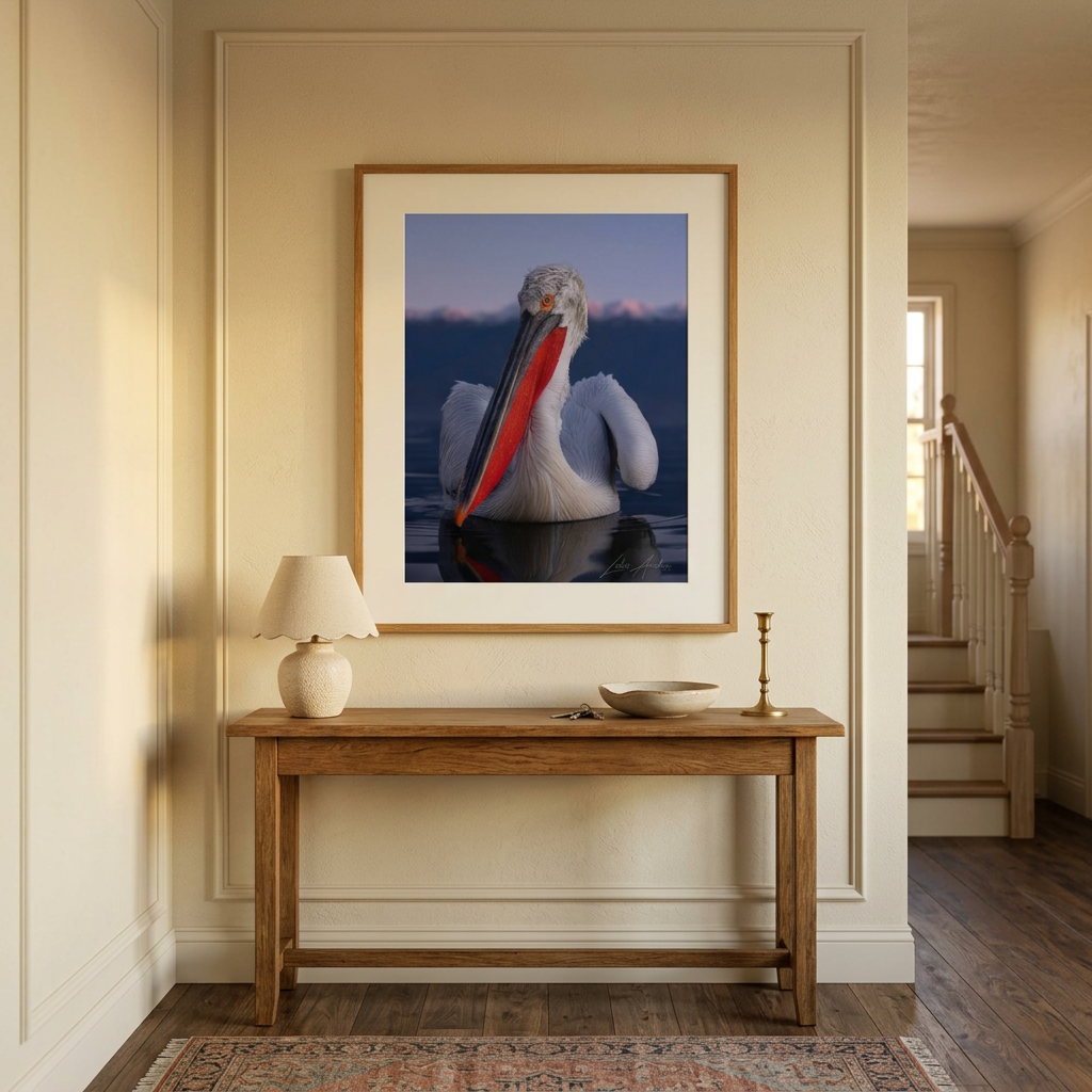 Dalmatian Pelican Fine Art Print | By Photographer Lukas Andersen