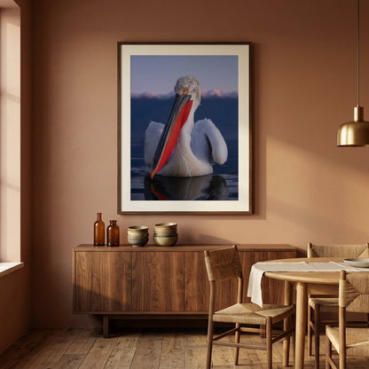 Dalmatian Pelican Fine Art Print | By Photographer Lukas Andersen
