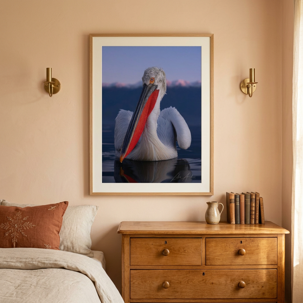 Dalmatian Pelican Fine Art Print | By Photographer Lukas Andersen