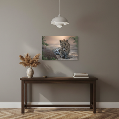 Leopard Resting at Sunset – By Photographer Patsy Weingart