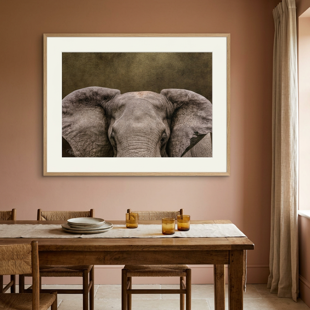 Elephant Portrait Fine Art Print | By Photographer Patsy Weingart