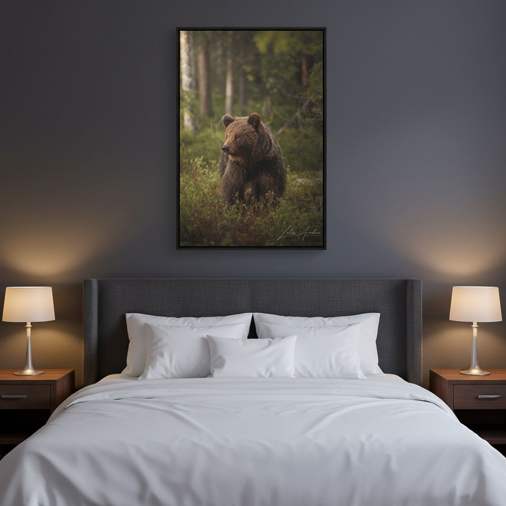 Brown Bear in Deep Forest Light – By Photographer Lukas Andersen