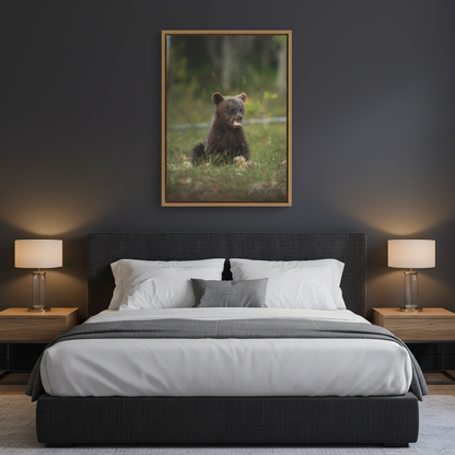 Expressive Bear Cub in Woodland Meadow – By Photographer Lukas Andersen