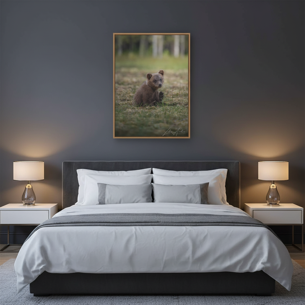 Bear Cub Scratching in Forest Meadow – By Photographer Lukas Andersen