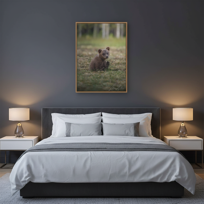 Bear Cub Scratching in Forest Meadow – By Photographer Lukas Andersen