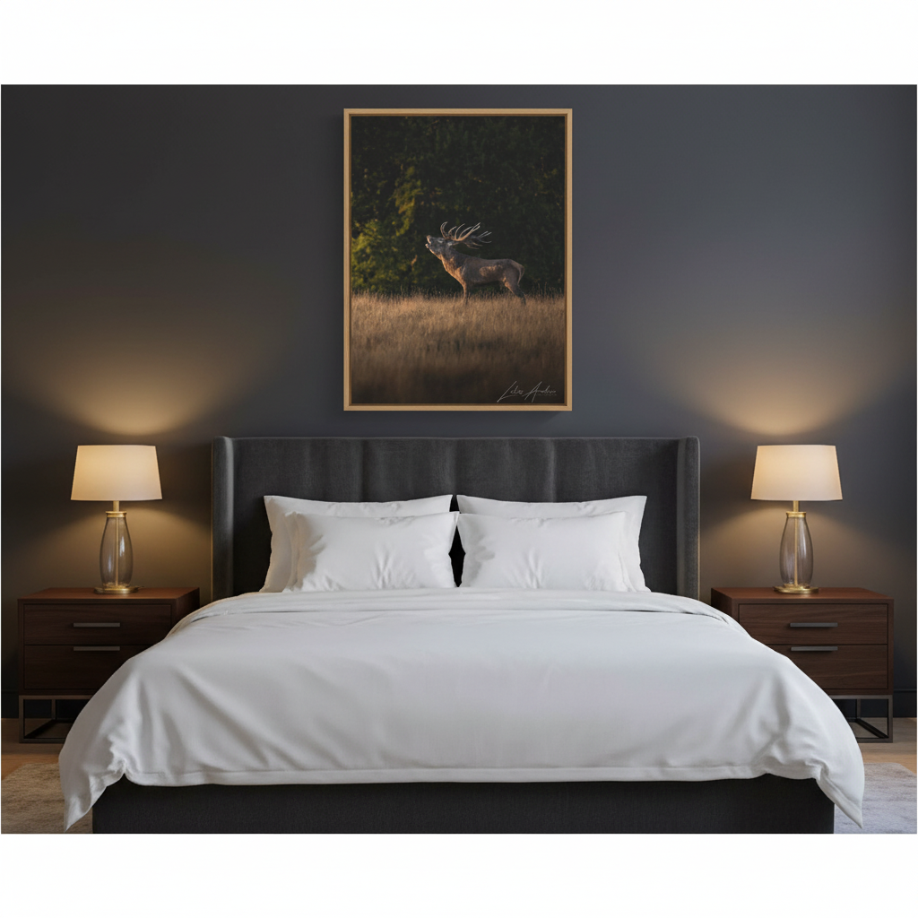 Roaring Stag in Golden Meadow – By Photographer Lukas Andersen