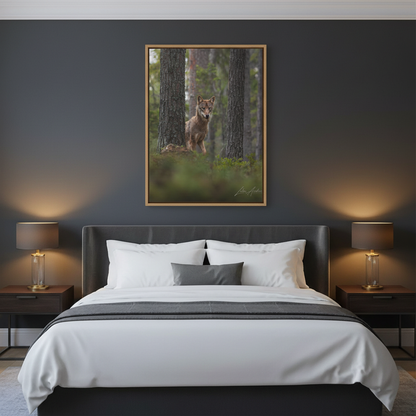Wolf Among Forest Trees – By Photographer Lukas Andersen