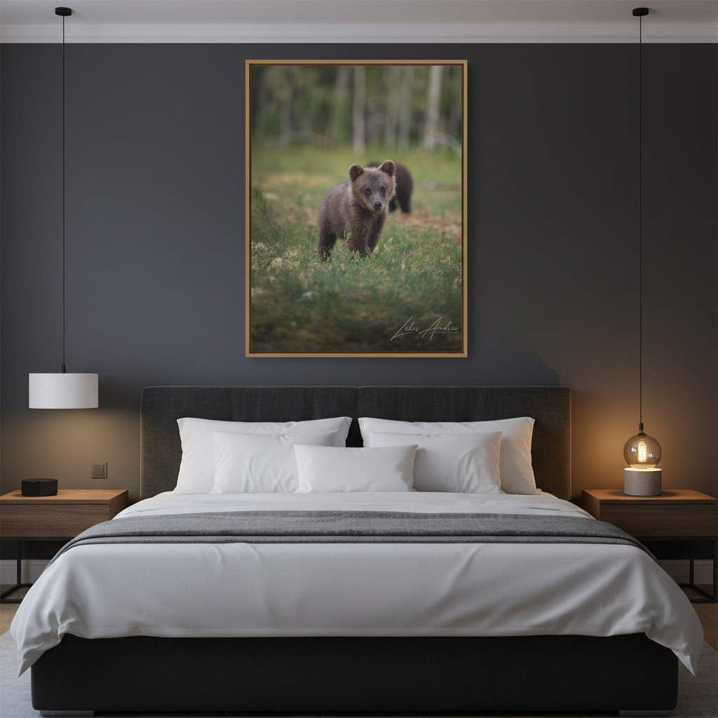 Curious Bear Cub in Forest Clearing – By Photographer Lukas Andersen