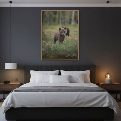 Curious Bear Cub in Forest Clearing – By Photographer Lukas Andersen