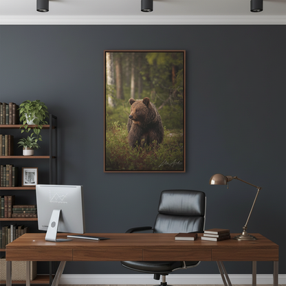 Brown Bear in Deep Forest Light – By Photographer Lukas Andersen