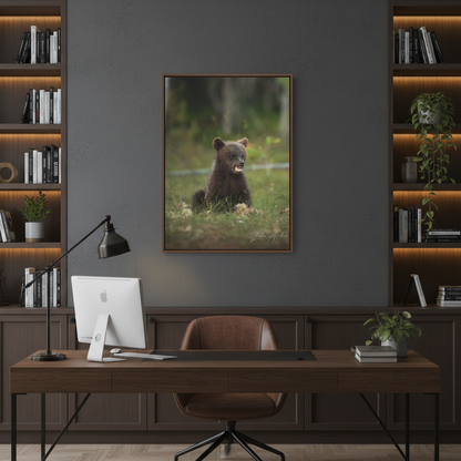 Expressive Bear Cub in Woodland Meadow – By Photographer Lukas Andersen