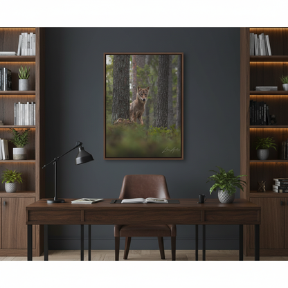 Wolf Among Forest Trees – By Photographer Lukas Andersen