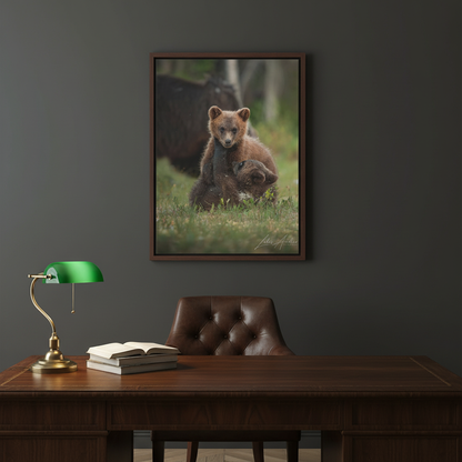 Playful Bear Cubs in Meadow Light – By Photographer Lukas Andersen