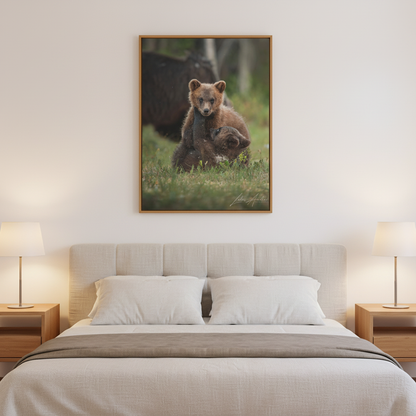 Playful Bear Cubs in Meadow Light – By Photographer Lukas Andersen