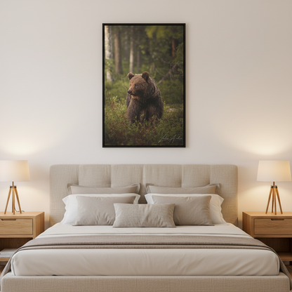 Brown Bear in Deep Forest Light – By Photographer Lukas Andersen