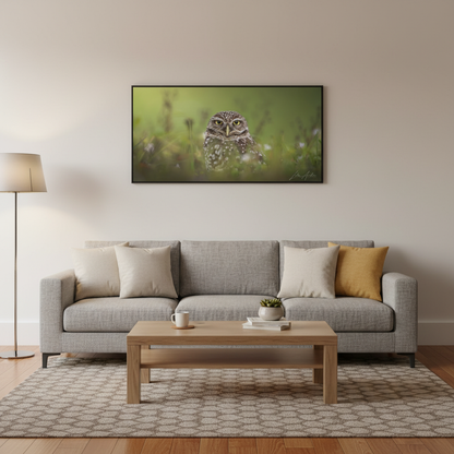 Curious Burrowing Owl – By Photographer Lukas Andersen