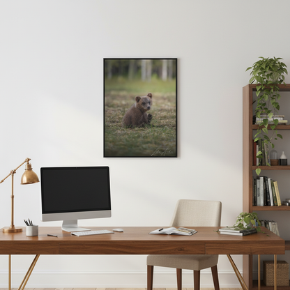 Bear Cub Scratching in Forest Meadow – By Photographer Lukas Andersen