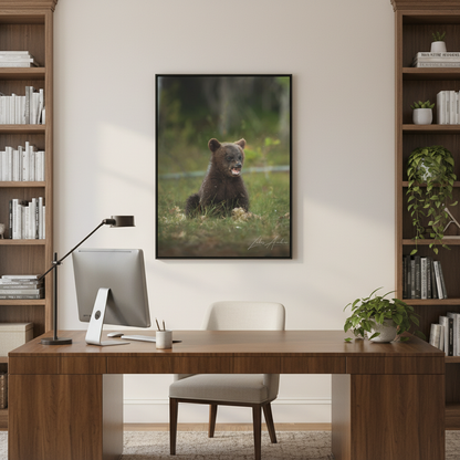Expressive Bear Cub in Woodland Meadow – By Photographer Lukas Andersen