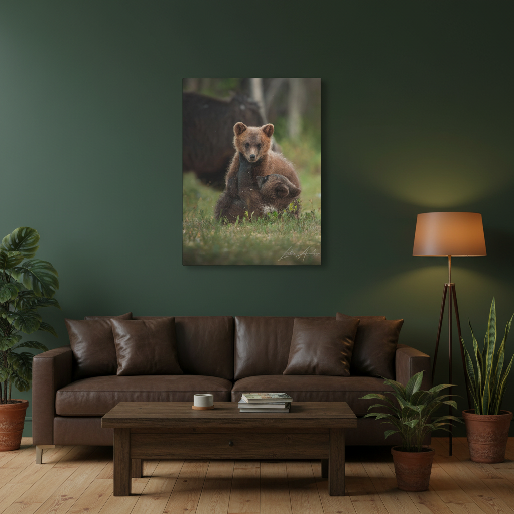 Playful Bear Cubs in Meadow Light – By Photographer Lukas Andersen