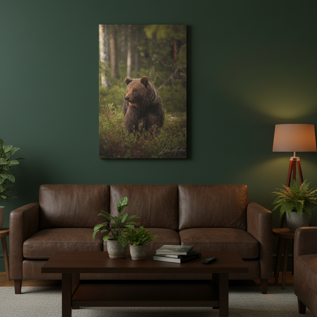 Brown Bear in Deep Forest Light – By Photographer Lukas Andersen