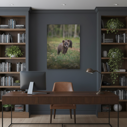 Curious Bear Cub in Forest Clearing – By Photographer Lukas Andersen