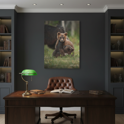 Playful Bear Cubs in Meadow Light – By Photographer Lukas Andersen