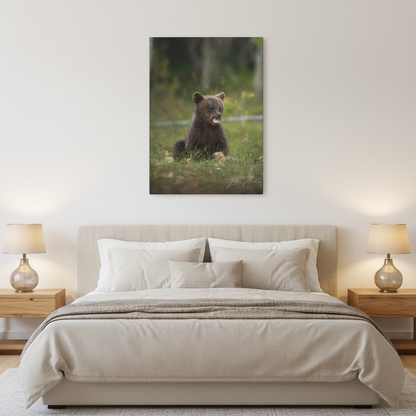 Expressive Bear Cub in Woodland Meadow – By Photographer Lukas Andersen