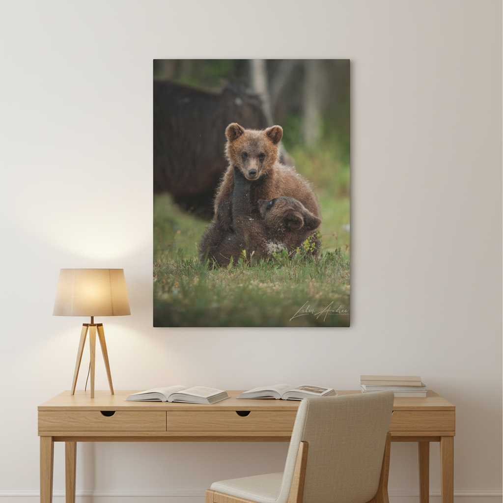 Playful Bear Cubs in Meadow Light – By Photographer Lukas Andersen