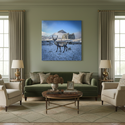Glen Coe Stag Canvas Print – By Photographer Fergus King