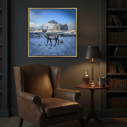 Glen Coe Stag Canvas Print – By Photographer Fergus King