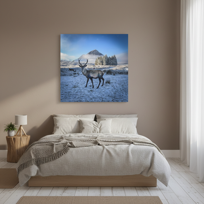 Glen Coe Stag Canvas Print – By Photographer Fergus King