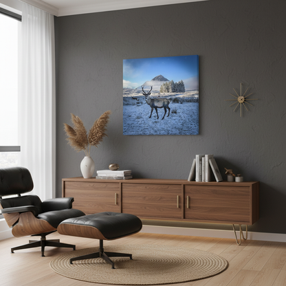 Glen Coe Stag Canvas Print – By Photographer Fergus King