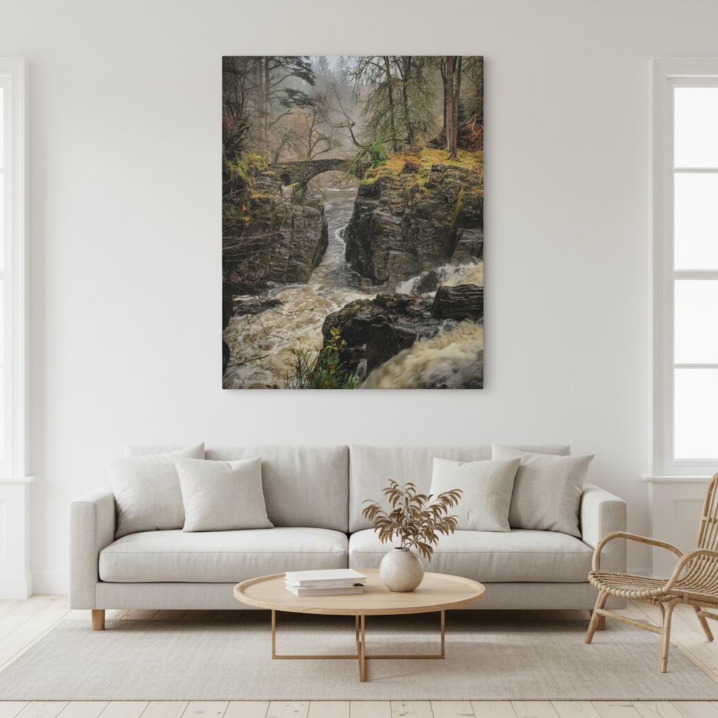 Hermitage Canvas Print – Scottish Woodland Wall Art by Photographer Fergus King