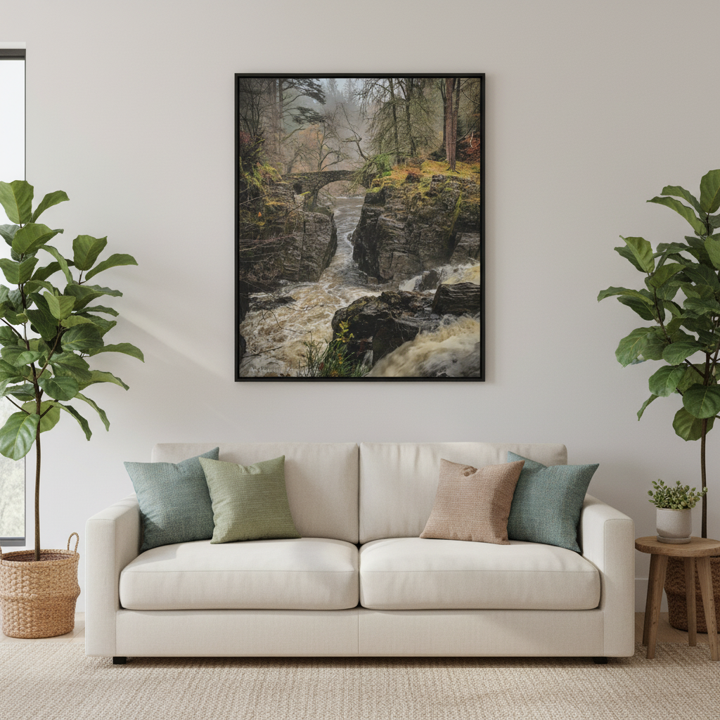 Hermitage Canvas Print – Scottish Woodland Wall Art by Photographer Fergus King