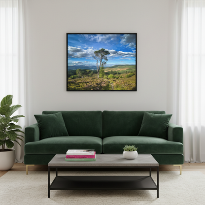 Kenmore Hill Canvas Print – By Photographer Fergus King | Scottish Highlands Landscape Wall Art