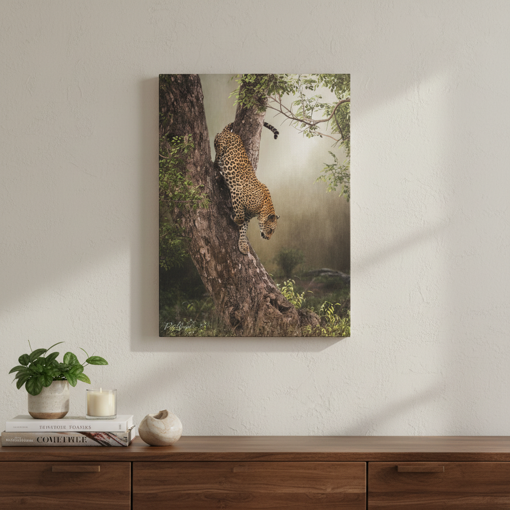 Leopard in Descent — By Photographer Patsy Weingart