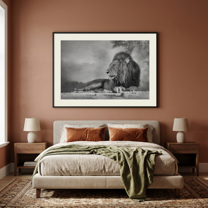 Lion Beneath the Acacia Fine Art Print | By Photographer Patsy Weingart
