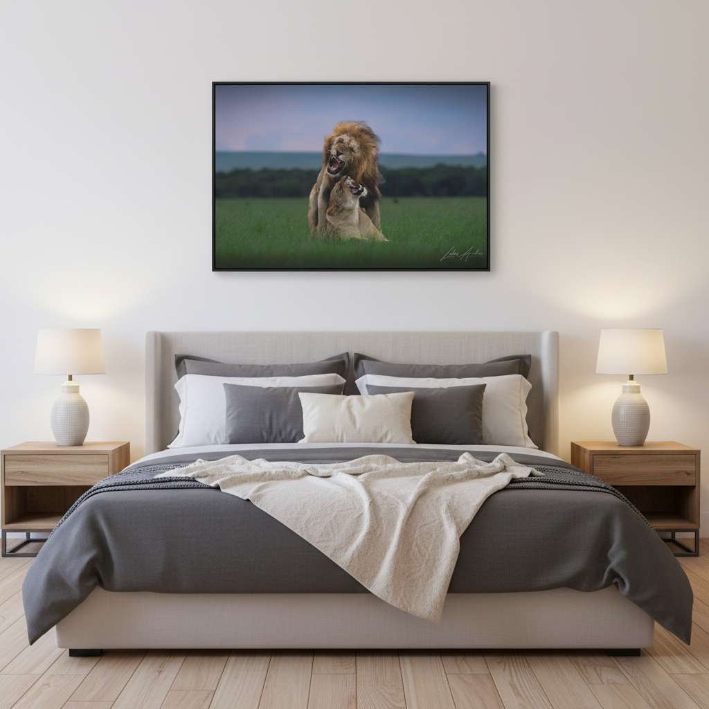 Lion Pair in Tense Exchange — By Photographer Lukas Andersen